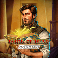 Book of Dead: Go Collect — play at Ybets